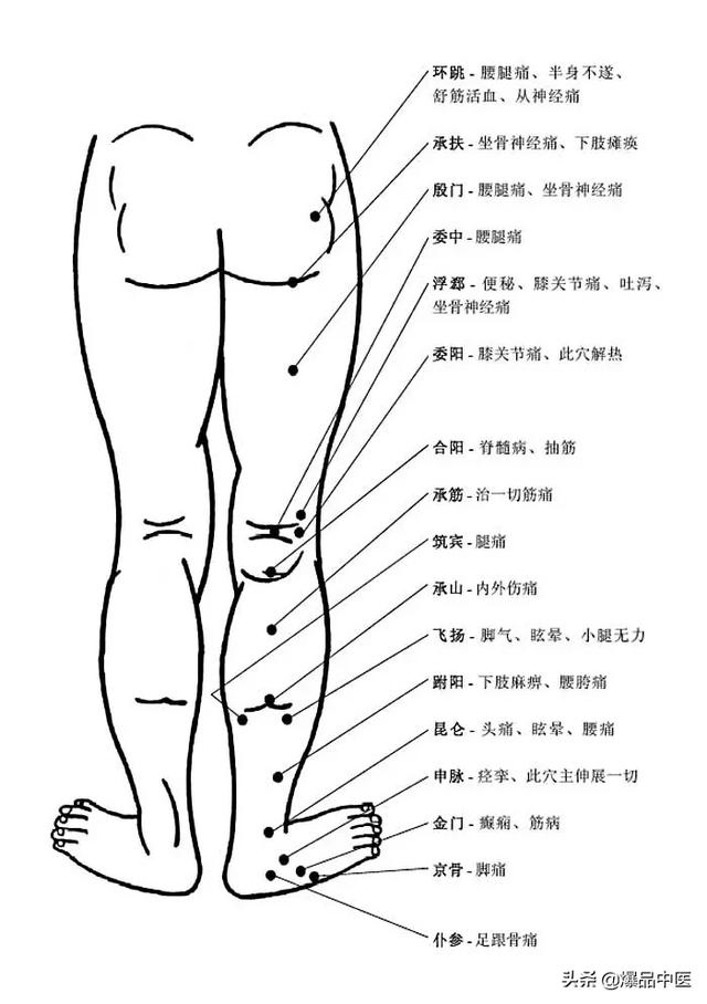 图解-人体穴位、经脉及对应疾病大全