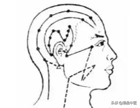 最齐全的穴位拍打，治疗百病