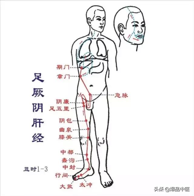 12经络里隐藏的12个中医按摩小秘密