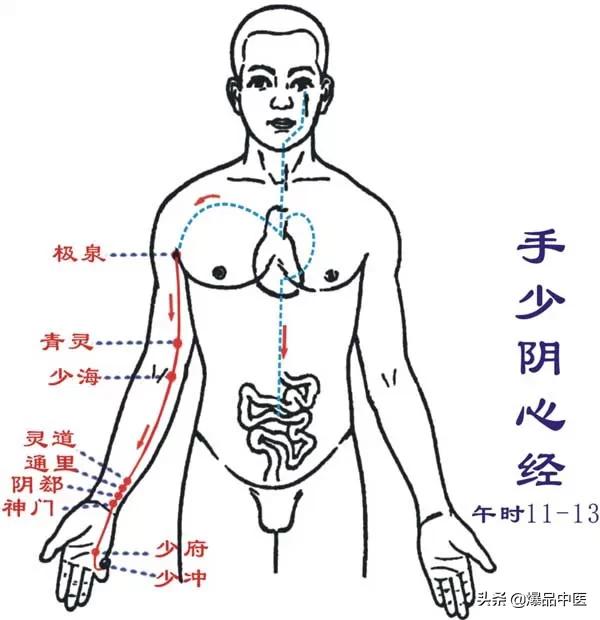 十二经络及原穴、络穴、输穴