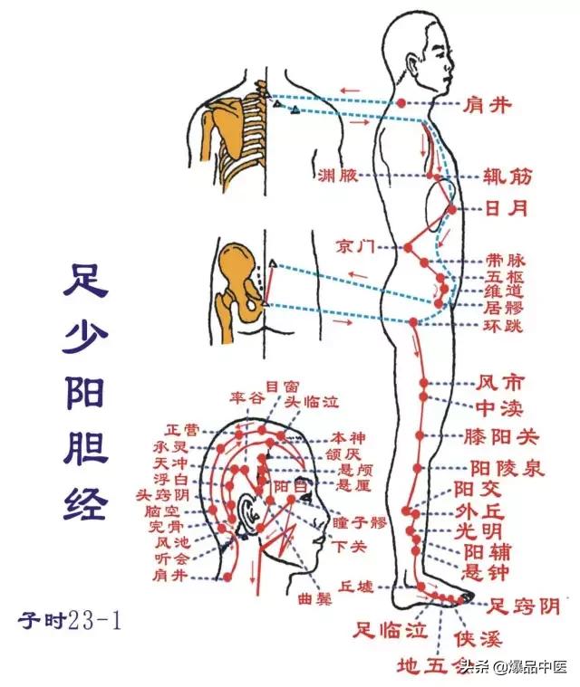 十二经络及原穴、络穴、输穴