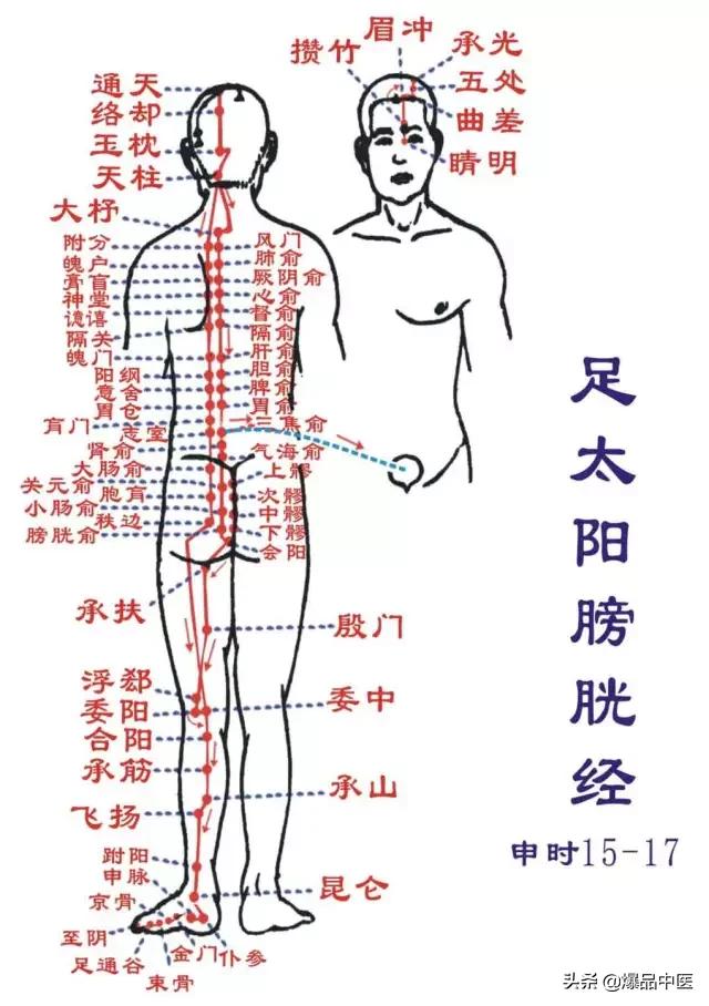 十二经络及原穴、络穴、输穴