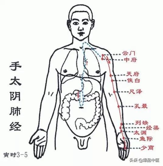 十二经络及原穴、络穴、输穴