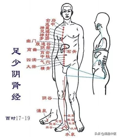 十二经络及原穴、络穴、输穴