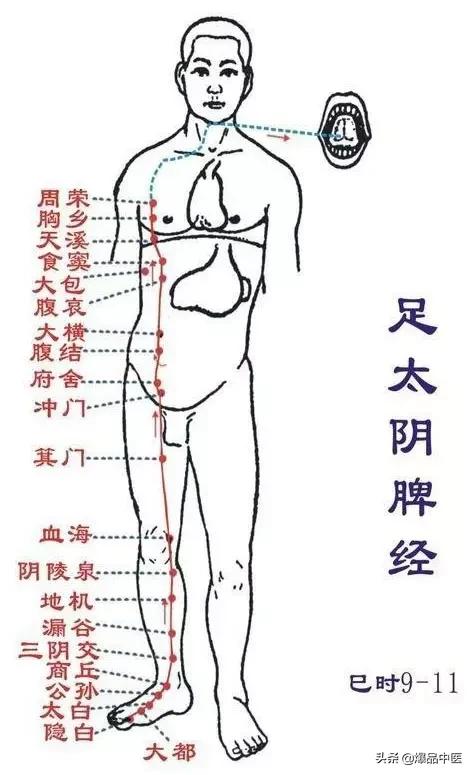 十二经络及原穴、络穴、输穴