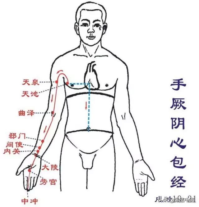 十二经络及原穴、络穴、输穴