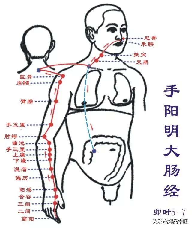 十二经络及原穴、络穴、输穴