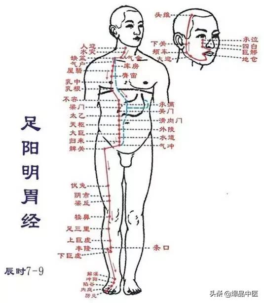 十二经络及原穴、络穴、输穴