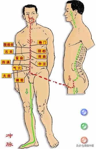 必须知道的奇经八脉循行、生理功能及八个代表性穴位