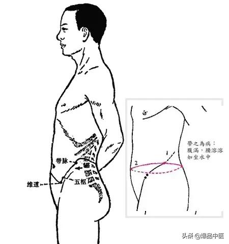 必须知道的奇经八脉循行、生理功能及八个代表性穴位