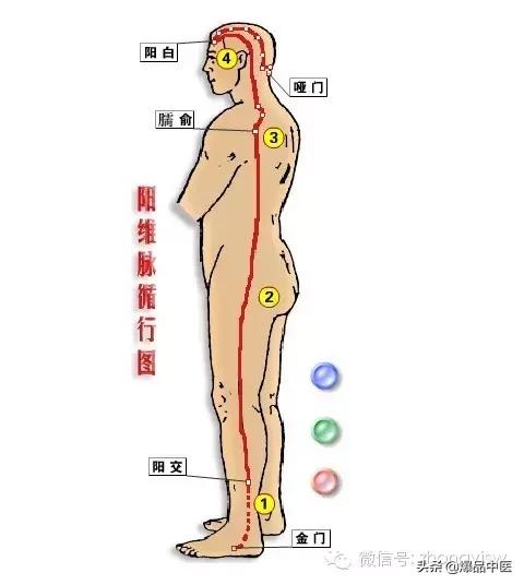 必须知道的奇经八脉循行、生理功能及八个代表性穴位