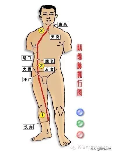 必须知道的奇经八脉循行、生理功能及八个代表性穴位