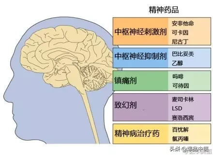 神经系统一天搞定，打破死板记忆方法