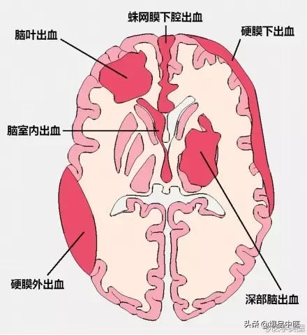 神经系统一天搞定，打破死板记忆方法