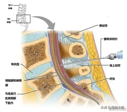 神经系统一天搞定，打破死板记忆方法