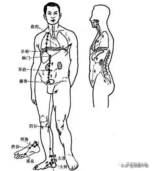 八脉交会穴的研究