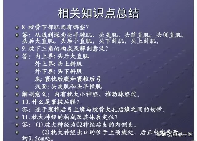 颈项部肌肉基础解剖——起止点及作用