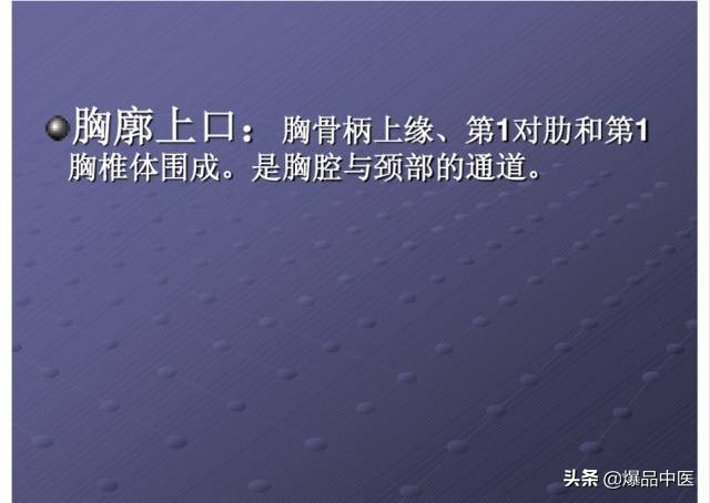 颈项部肌肉基础解剖——起止点及作用