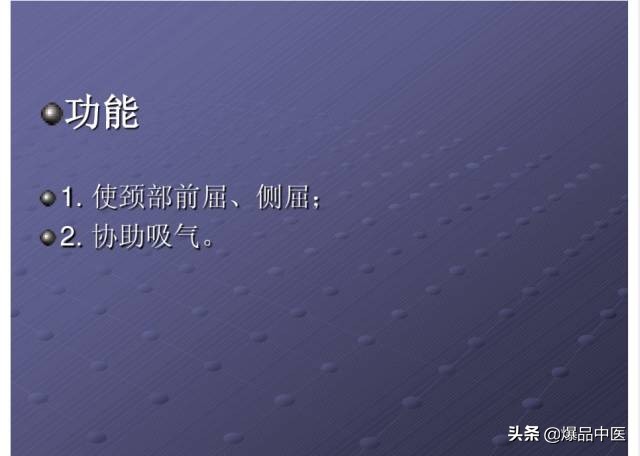 颈项部肌肉基础解剖——起止点及作用