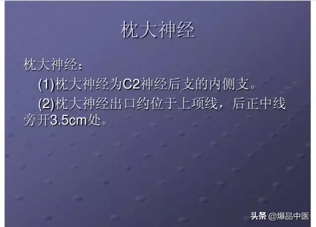 颈项部肌肉基础解剖——起止点及作用