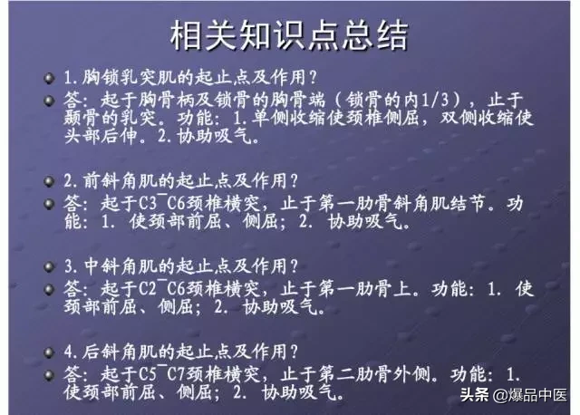 颈项部肌肉基础解剖——起止点及作用