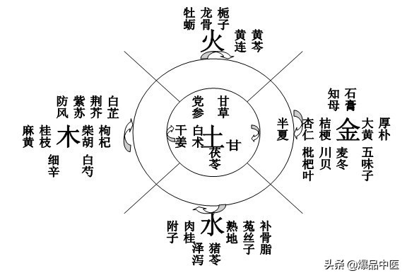 人体脏腑气血运动图