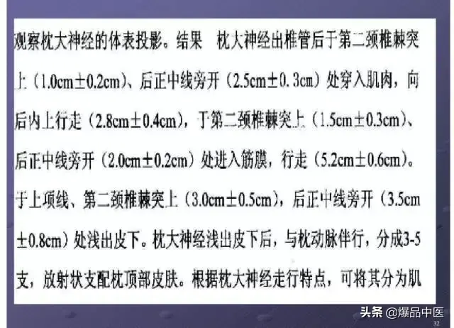 颈项部肌肉基础解剖——起止点及作用