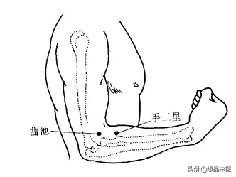 大肠经大药房：肠道清道夫