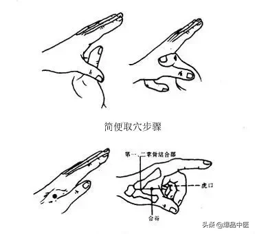 大肠经大药房：肠道清道夫