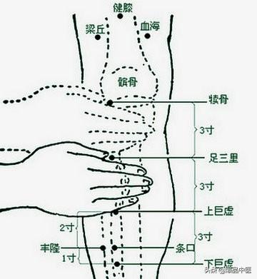 十二个穴道，几乎可以治疗全身所有的疾病