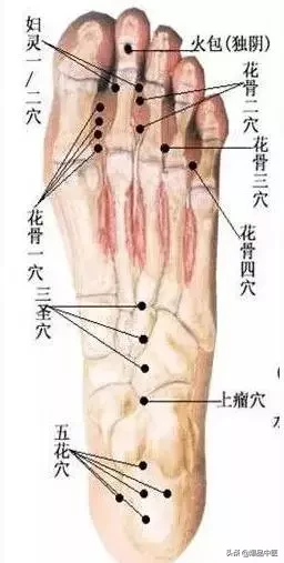 图解董氏七十二绝针，一目了然