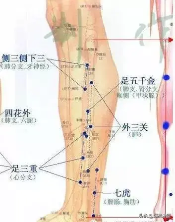 图解董氏七十二绝针，一目了然