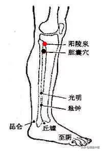 各种痛症的针灸治疗(值得收藏)