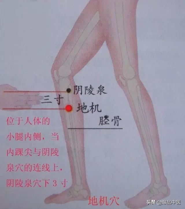 图解88个精选穴，一穴一用