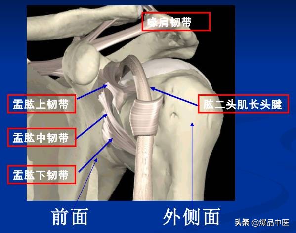 肩袖损伤的诊断和治疗