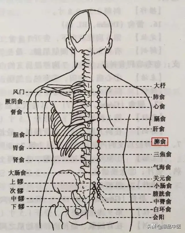 学透四个背俞穴，内科杂病迎刃而解