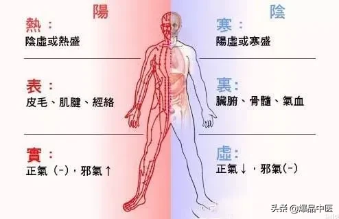 学透四个背俞穴，内科杂病迎刃而解