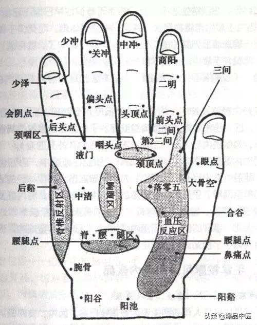 人体手部穴位图（高清详解） 手掌穴位图解大全