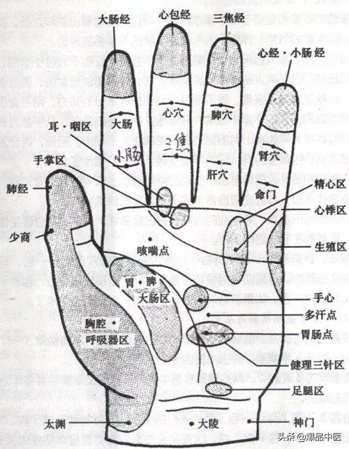 人体手部穴位图（高清详解） 手掌穴位图解大全