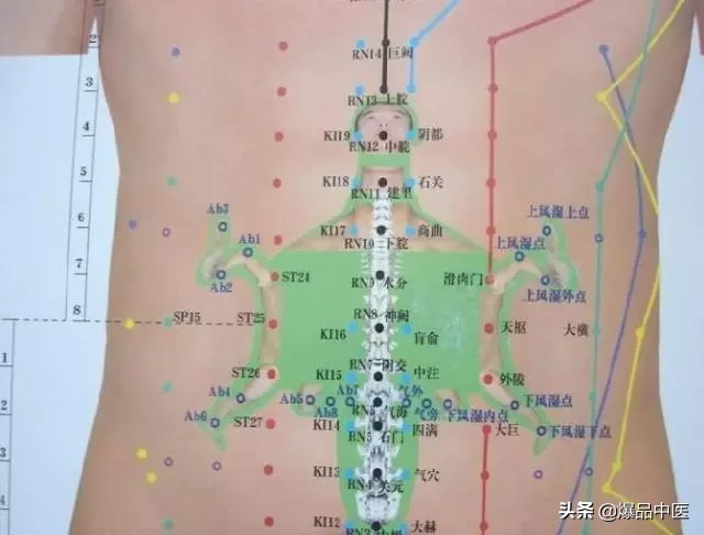 值得好好看：针灸、按摩全息之精髓（全身投影图）