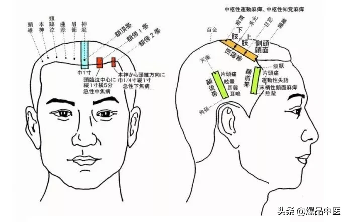 值得好好看：针灸、按摩全息之精髓（全身投影图）