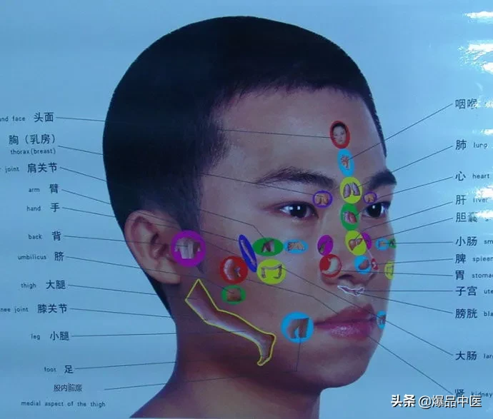 值得好好看：针灸、按摩全息之精髓（全身投影图）