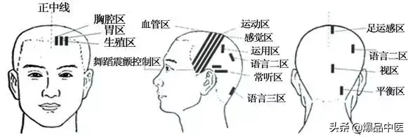 值得好好看：针灸、按摩全息之精髓（全身投影图）