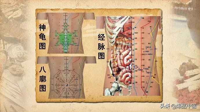 值得好好看：针灸、按摩全息之精髓（全身投影图）