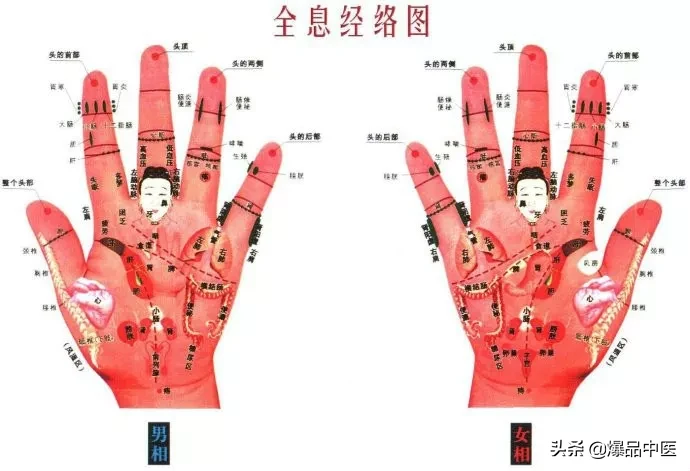 值得好好看：针灸、按摩全息之精髓（全身投影图）