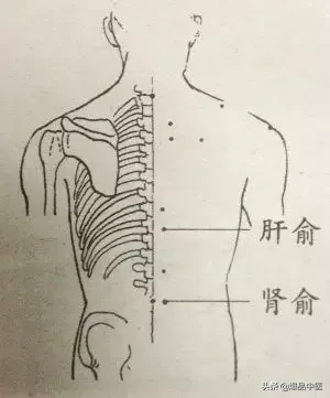 一个穴位相当于一味中药！收藏