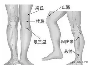 刺络放血，大病小病都不怕