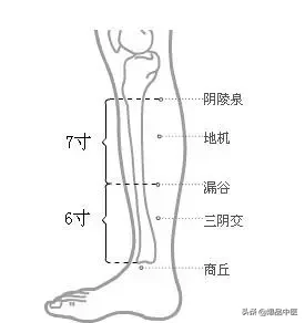 脾经大药房--详解脾经相关穴位，化掉任何慢性病（珍藏）