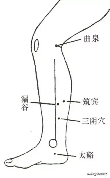 脾经大药房--详解脾经相关穴位，化掉任何慢性病（珍藏）