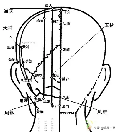 女性补血气抗衰老的12个艾灸专常穴位